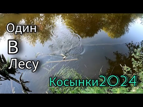 Видео: НЕ УСПЕЛ ПОСТАВИТЬ , УЖЕ ПОПАЛОСЬ. РЫБАЛКА НА ЭКРАНЫ НА МИКРОРЕЧКЕ. ЛЕТО 2024.