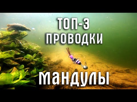 Видео: Приманка МАНДУЛА. ТОП-3 ПРОВОДКИ! Как правильно подать приманку?