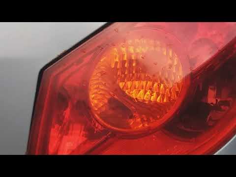 Видео: ✔Новое приобретение. Порода "Дюрок - Пьетрен"