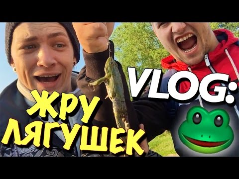 Видео: VLOG: ЖРУ ЛЯГУШЕК Х ВЫЖИВАНИЕ / Андрей Мартыненко