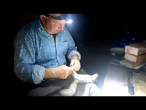 Видео: Две ночи в избушке с промысловиком.