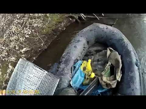 Видео: Охота на норку проверка капканов часть 2