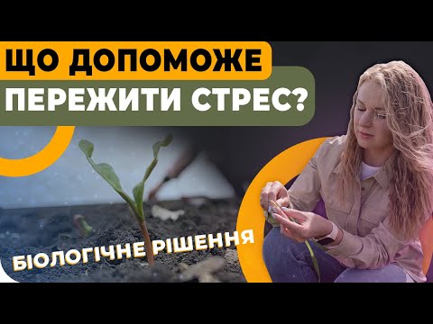 Видео: КАК СОХРАНИТЬ УРОЖАЙ?🌻 БАКТЕРИИ В ПОЧВЕ🧪