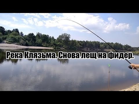Видео: Река Клязьма. Снова ловим леща на фидер.