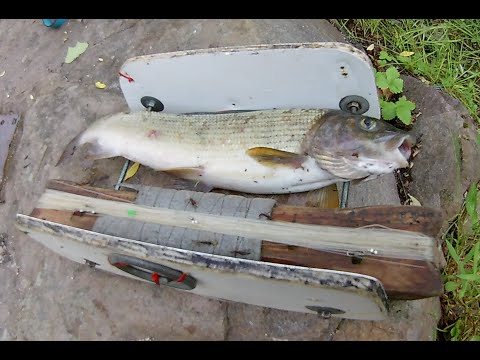 Видео: Рыболовный кораблик