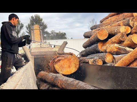 Видео: Что-то застряло! Посмотрите на борьбу измельчителей!