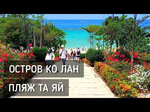 Видео: Плывём на остров Ко Лан. Пляж Та Яй. Релакс / Koh Larn Island. Ta Yai Beach #таиланд #паттайя #колан