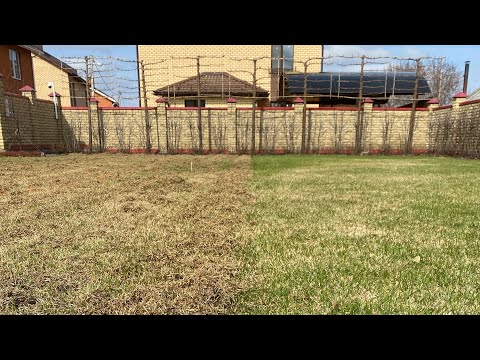 Видео: Скарфикация газона. Обзор скарификатора Макита UV3600. Глубокое прорезанные дернины.