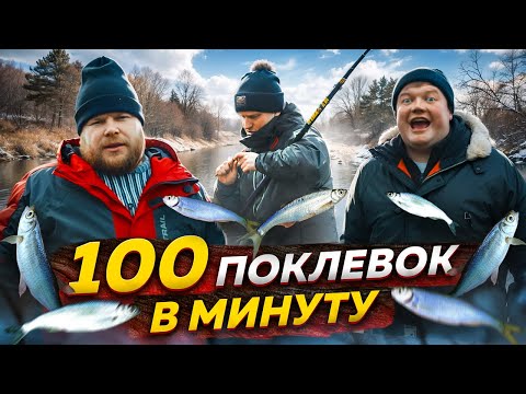 Видео: БЕШЕННАЯ УКЛЕЙКА КЛЮЁТ НА ВСЁ. Рыбалка по открытой воде