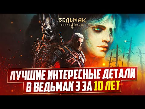 Видео: Лучшие Интересные Детали в Ведьмак 3 Дикая Охота за 10 лет