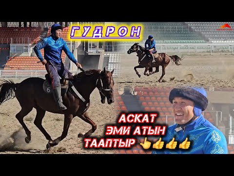 Видео: Аскат Аскаров менен интервью 💥💥💥