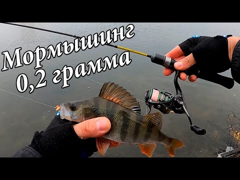 Видео: МОРМЫШИНГ с Самодельной Мормышкой 0,2 грамма. Спиннинг Black Adder не подвел!!!