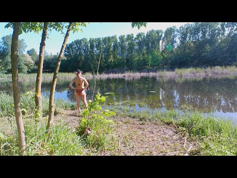 Видео: Озеро Виктория. Огромные солнечные окуни, сход горбача, много поклёвок и ни одной пойманной щуки