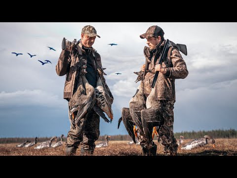 Видео: Охота на гуся/Тестируем новейшие модели гусиных чучел /Архангельск 2025