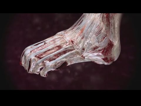 Видео: Блиц-турнир по лиге 2. Худшие травмы