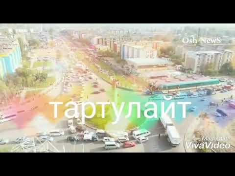 Видео: 113-кесиптик лицей 3-группа