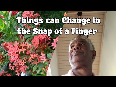 Видео: Помните, что всё может измениться в мгновение ока (смотрите до конца)