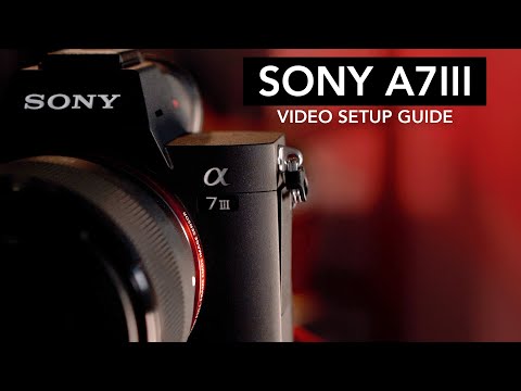 Видео: Руководство по настройке видео Sony a7iii (полное пошаговое руководство для начинающих)