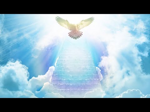 Видео: 💌ОТ ЧЕГО ВАС УБЕРЕГЛИ ВЫСШИЕ СИЛЫ?🙌✨