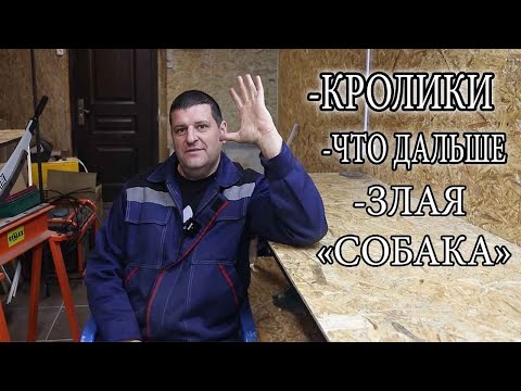 Видео: МИНИ СТРИМ. ОТВЕЧУ НА ВОПРОСЫ.
