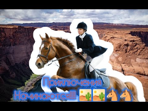 Видео: Опасная верховая езда. Новая серия в Roblox 🐴🐴🐴