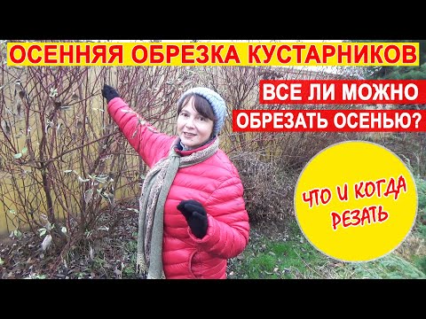 Видео: Осенняя обрезка кустарников. Какие кустарники обрезать осенью? А какие летом?