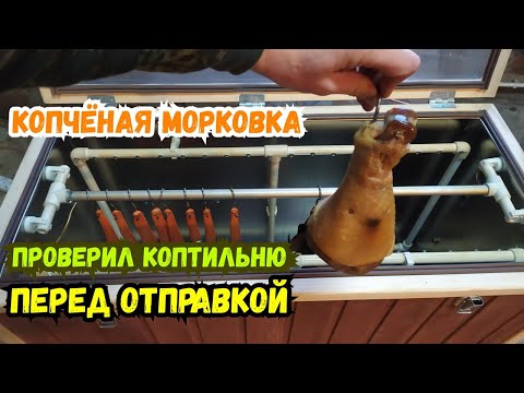 Видео: Электростатическая коптильня! Закоптил морковку! Тестовый запуск перед отправкой.