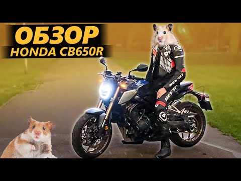 Видео: ОБЗОР Honda CB650R. Хомяковоз