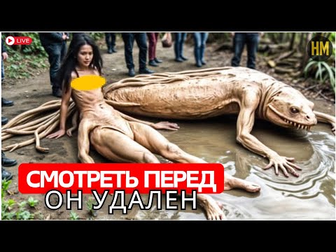 Видео: Ученые ОШЕЛОМЛЕНЫ! То, что только что ПОЯВИЛОСЬ в лесах, УЖАСАЕТ весь мир! Документальный фильм