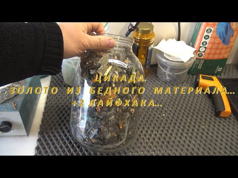 Видео: Цикада.Золото из бедного материала,+ 2 лайфхака!