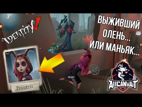 Видео: Лучший билд для жрицы в игре IDENTITY V! #9