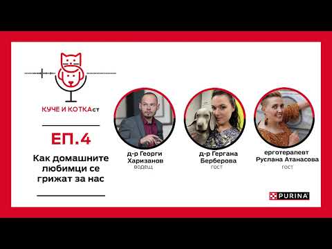 Видео: КУЧЕ И КОТКАст || Епизод 4: Как домашните любимци се грижат за нас