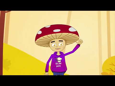 Видео: 07.11 Інформатика Урок 9 (4 клас)