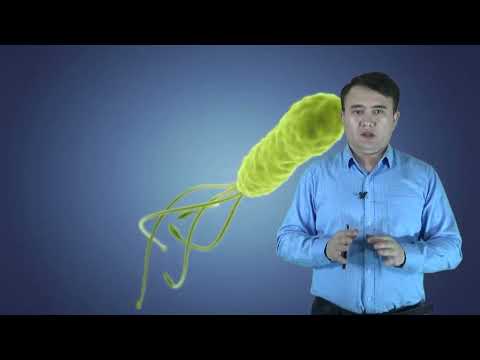 Видео: хеликобактер асқазан ауруларының себебі,  емдеу #хеликобактер #казакша