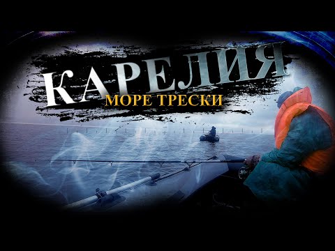 Видео: КАРЕЛИЯ Белое море СУПЕР клев ТРЕСКИ || Вышли на рыбалку в Белое море || Руки устали таскать ТРЕСКУ