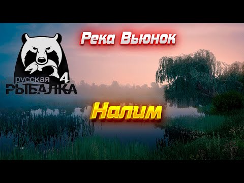 Видео: RR4 #6 Река Вьюнок. Ночная ловля Налима.