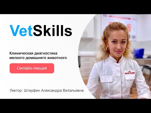 Видео: VetSkills «Клиническая диагностика мелкого домашнего животного»