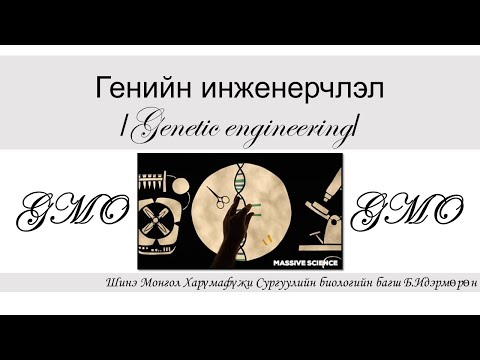 Видео: Генийн инженерчлэл /Клонинг буюу хувилах арга/