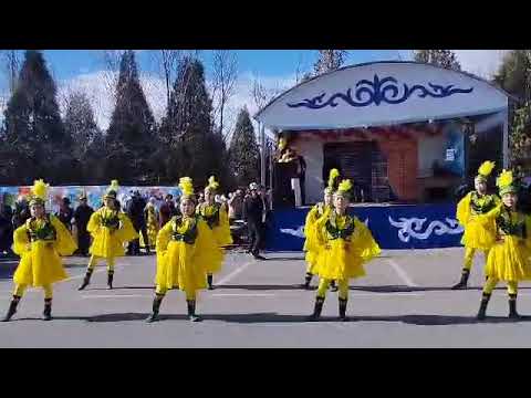 Видео: 14 ноября 2025 г.