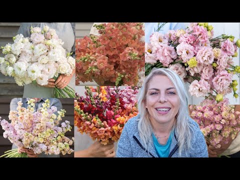 Видео: Засяване на лизиантус, дигиталис, антиринум и матиола