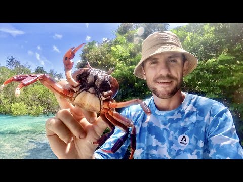 Видео: ШТОРМ на ОСТРОВЕ АКУЛ. Выживание на необитаемом новом острове  [Часть-10] №35