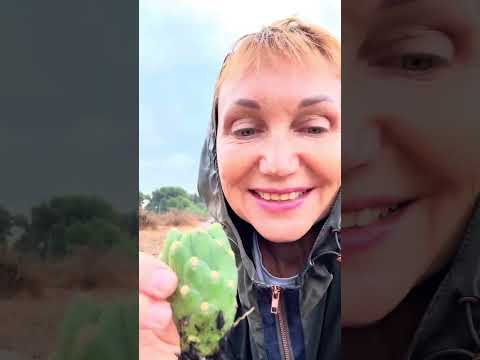 Видео: Праматір і дощ. Народження простору «Колополіс»