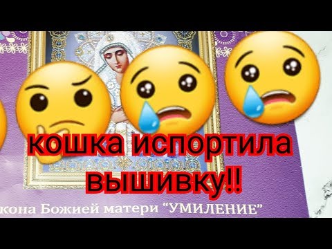 Видео: Я В ШОКЕ !! КОШКА ИСПОРТИЛА МОЮ ВЫШИВКУ !!! НА ВЫБРОС ?? НУЖЕН СОВЕТ.