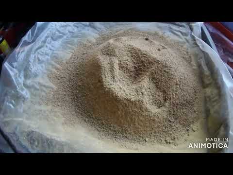 Видео: 12 02 25г  Как получить чистый прополис