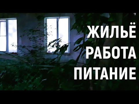 Видео: Зимуем у моря на пенсии. Зимующие делятся опытом жизни в Лазаревском, Сочи