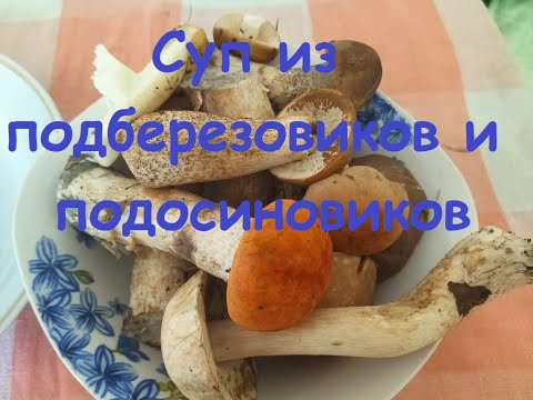 Видео: Как сварить грибной суп - самый вкусный, надежный и простой рецепт из подберезовиков и других грибов