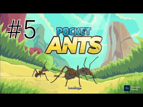 Видео: Pocket ants (покит антс) #5