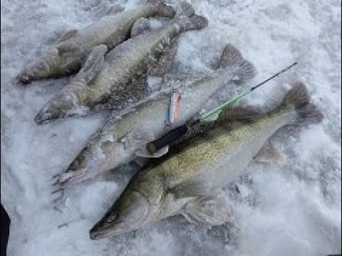 Видео: [Судак на вибы]. Эпизод 3.