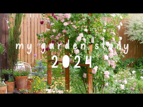 Видео: Моя история сада 2024. Серебряная кнопка воспроизведения распаковки