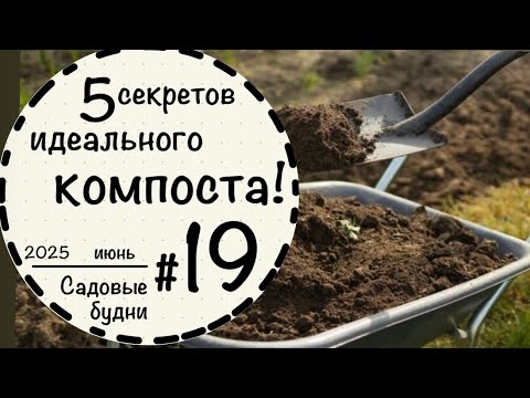 Видео: #19☘️ Как заложить компост?☘️Размеры☘️Известь☘️Что нельзя кидать в компост?☘️